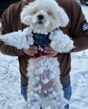 ◎3月21日休業日のお知らせ◎